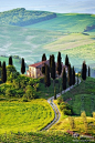 【托斯卡纳】意大利中部的一个大区。因丰富的艺术遗产和文化影响力，被视为意大利文艺复兴的发源地。旅游热点包括佛罗伦萨、锡耶纳、比萨、卢卡等。托斯卡纳的葡萄酒和橄榄油都很出名。