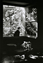 édouard boubat, stanislas at the window, france, 1973.: