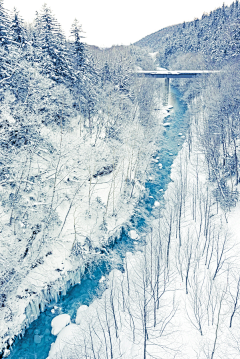 为什么不让我豋采集到那白色的雪啊