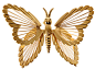 ButterflyDM_468x344.jpg (468×344)