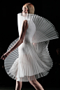 Sculptural Fashion - both delicate and hard... sheer pleats; 3d fashion construct; fashion architecture