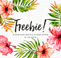 FREEBIE-Watercolor tropical flower : 3 x flowers 3 x leaves