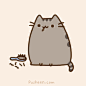 Pusheen the cat : =＾● ⋏ ●＾= Meow! I am Pusheen the cat. This is my blog. (more...)