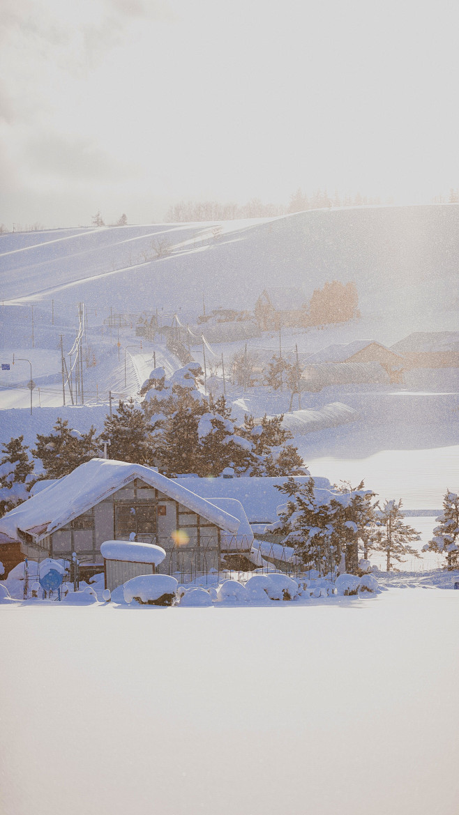 雪原 富良野❄️ | 摄影@overwa...