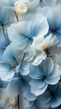 blue and white flowers are arranged together