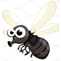 性格,昆虫,飞,白色,生物学,背景分离,野生动物,翅膀,腿,飞