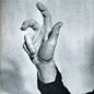 “Theft: The Fine Art of Gesture” (1963) - Bruno Munari
