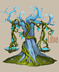 Amazing trees. Zodiac : 12 trees for 12 zodiacal signs