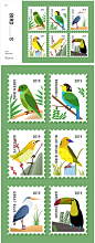 鸟-鸟邮票插画练习