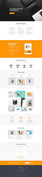 Parallels - Multipurpose WordPress Theme : Parallels perfectly suits for any type of brand, company, or business: web development, photographers, freelancers, designers, entrepreneurs, and other artistic agencies and studios, as well as online stores. 