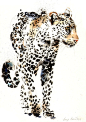 Saatchi Online Artist: Lucy Newton; Other, Mixed Media "Leopard"