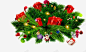 手绘风格圣诞节礼物红色的绿色植物 平面电商 创意素材