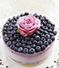 Blueberry Ice Cream Cheesecake