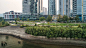 威拉米特河 南滨水景观绿道 South Waterfront Greenway / SWA Group :   SWA Group：威拉米特河沿岸的一个大胆的新规划：将城市中心公园延伸1-1/2英里，以及河流边缘的改造，用于公共娱乐。设计团队与波特兰市、开发商和自然资源倡导者密切合作，设计了一个合理的计划，在不损害栖息地的情况下，将访问和活动空间放在...