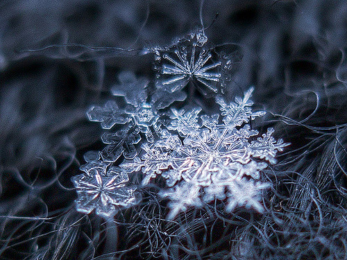 雪花、雪晶摄影 by 设计达人（http...