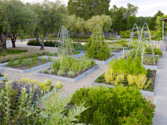 园林景观设计——WL采集到构成——菜地、花池