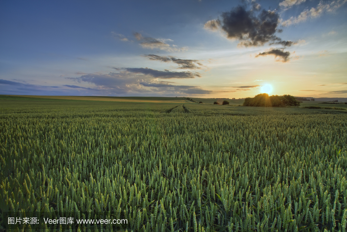 02f2107c50f8b4d24c89d5d2eafbe43d1173f378bf05d-FZCD11