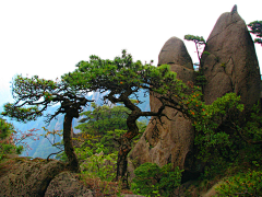 水公采集到三清山   S