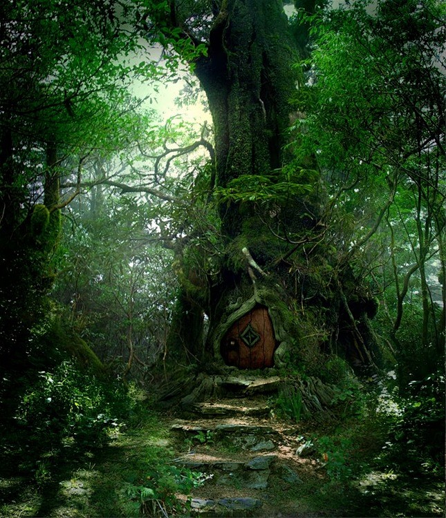 Forest Door Stock by...