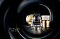 Estée Lauder Official Site