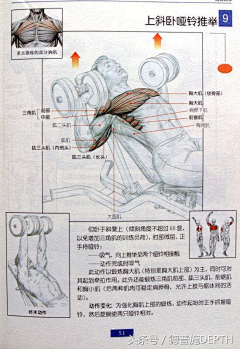 细嚼慢咽采集到养生保健