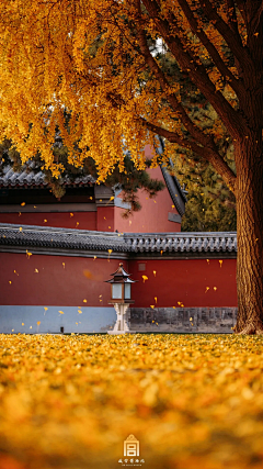 HUANGLIFEN采集到风景