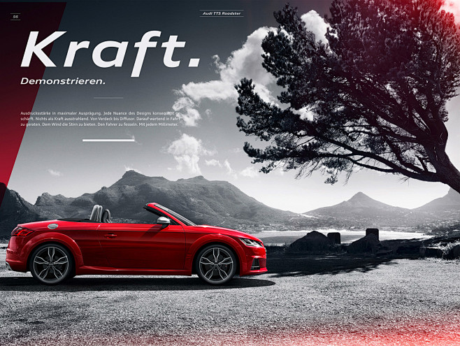 Audi TTS Roadster Ca...