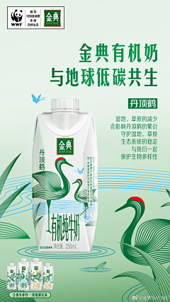 漂移的珊瑚虫采集到海报图;广告;banner