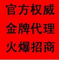 免费代销网店加盟代理分销平台厂家货源批发一件代发dvd导航秒杀