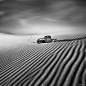 Vassilis Tangoulis [64P] (54).jpg