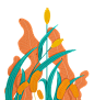 手绘植物 插画 PNG