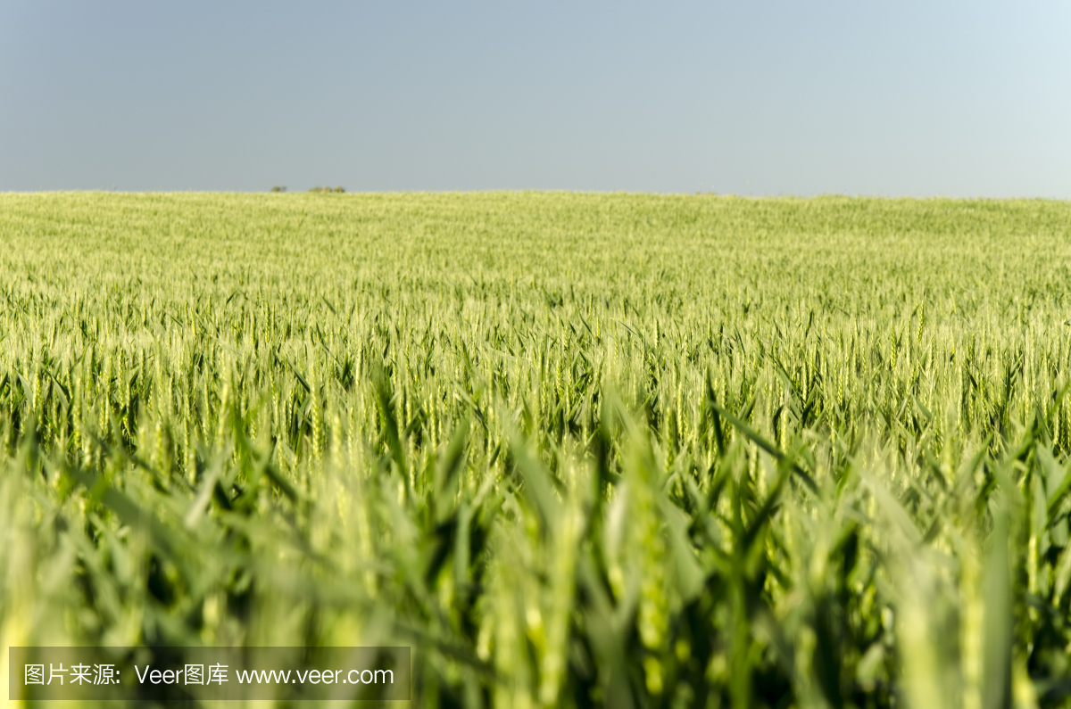 0354624569cba866a27fbf3d09339b1f9d5dc1628b03a-d2LA5y