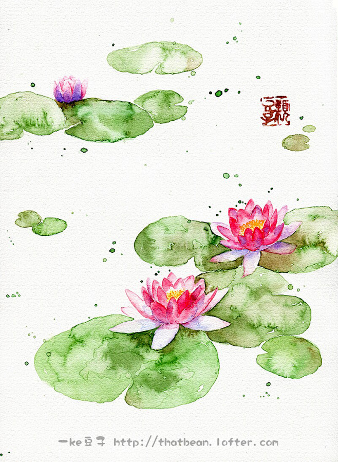 睡莲  #水彩# #插画# #花卉# #...