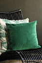 forest_green_cushion_lowres.jpg (667×1000)