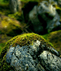 barns-en stone moss by barns-en on deviantART