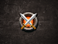 Level icon2 dr