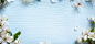 粉蓝色小白花,浪漫,清新,海报banner,梦幻图库,png图片,网,图片素材,背景素材,3981858@北坤人素材