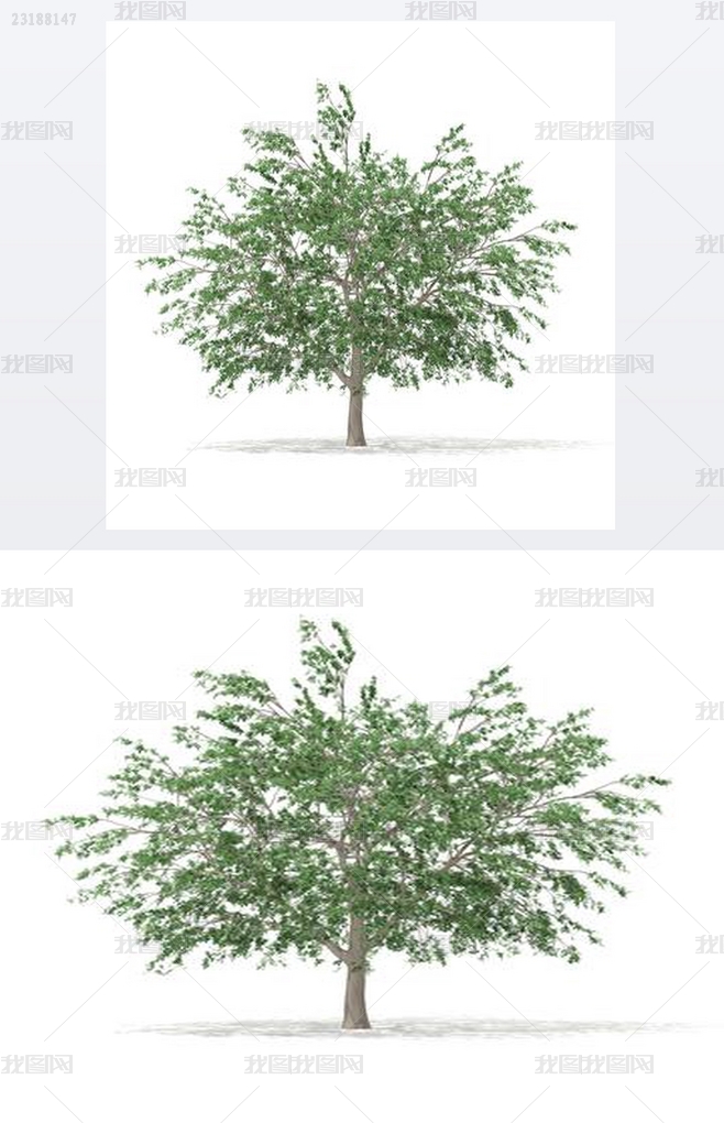 03b86a1166af3ed594cf88fb82ce82732d839feb479a3-FWJbBv