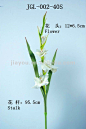 Gladiolus (pu flower--real touch)