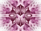 Purple Gnarls by DWALKER1047 on DeviantArt