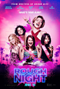 Mega Sized Movie Poster Image for Rough Night (#16 of 16)