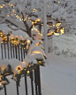 .
Life | 今年的圣诞平安夜要这样过：有鲜花、有大雪、圣诞树还有韩国偶巴～ @CatherineFlora520
课程介绍网页链接 ​