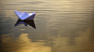 boat : paper boat