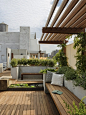 Landscape Design, Pictures, Remodel, Decor and Ideas - 屋顶花园