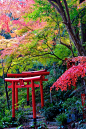 Autumn scenery, Japan