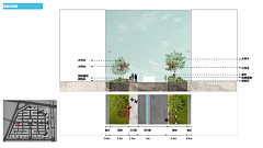 芸~采集到道路绿化