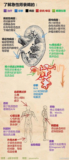 狗有狗的烦恼采集到杂家必读