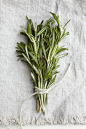 Fresh cut rosemary - one of the complex fragrance notes in Aesthetic Content's Fumoso Cedar Luxury Scented Soy Candle.  www.aestheticcontent.com: 