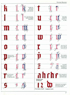 薪穷打工人采集到钢笔字帖