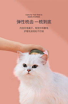 杭州元策工业设计采集到宠物用品 | Design